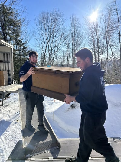Deux déménageurs montent un coffre en bois dans le camion pour un déménagement résidentiel à Mascouche Deux déménageurs montent un coffre en bois dans le camion pour un déménagement résidentiel à Mascouche