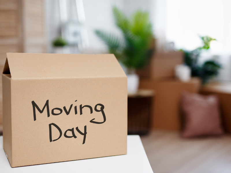 Box labeled 'Moving Day' in a room filled with moving boxes, ready for the move.