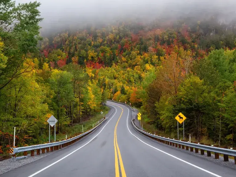 Déménagement Laval longue distance : Route sinueuse bordée de forêts aux couleurs d’automne sous un ciel brumeux
