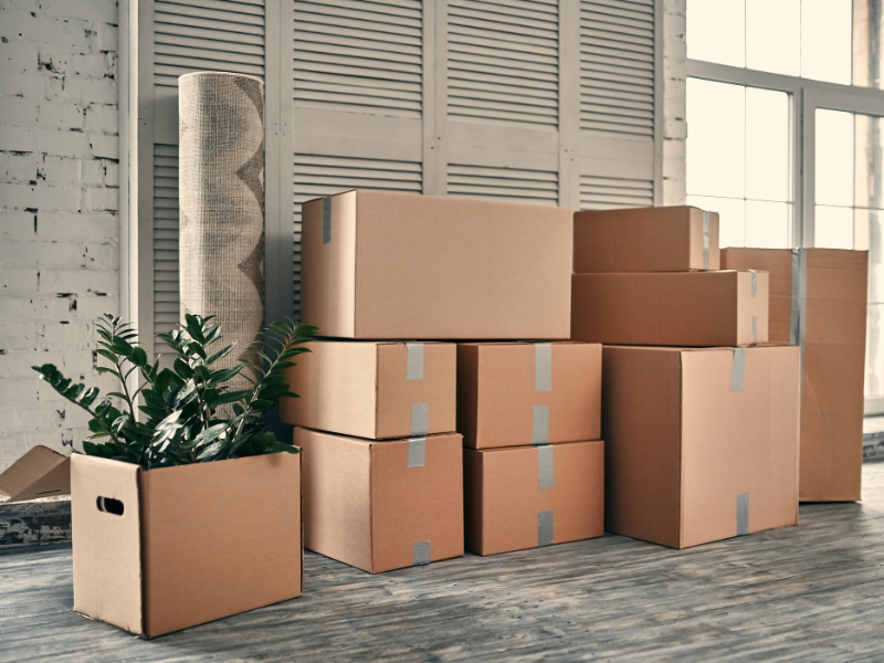 Cartons de déménagement empilés avec une plante et un tapis dans un intérieur lumineux, idéal pour un déménagement longue distance.