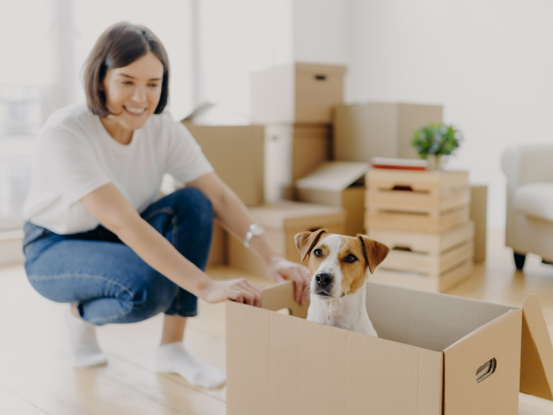 Femme souriante en plein déménagement avec un chien assis dans un carton, entourée de boîtes